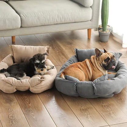 Coussin chien