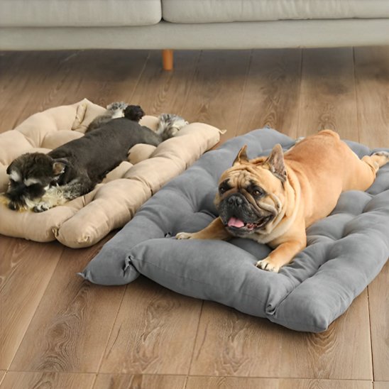 Coussin chien