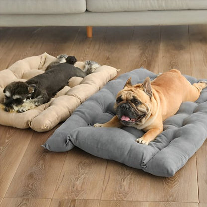 Coussin chien