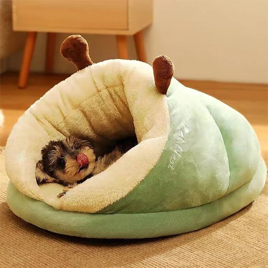 Lit pour chien