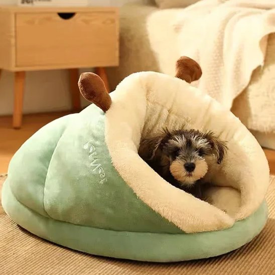 Lit pour chien