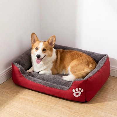 Panier chien rouge chien qui se repose