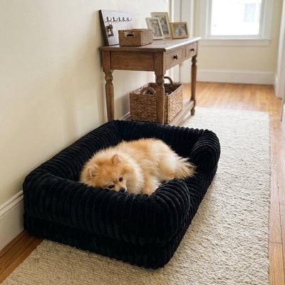 Panier pour chien noir
