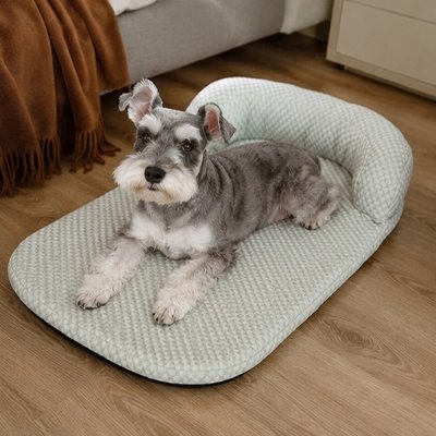 Tapis rafraichissant Chien